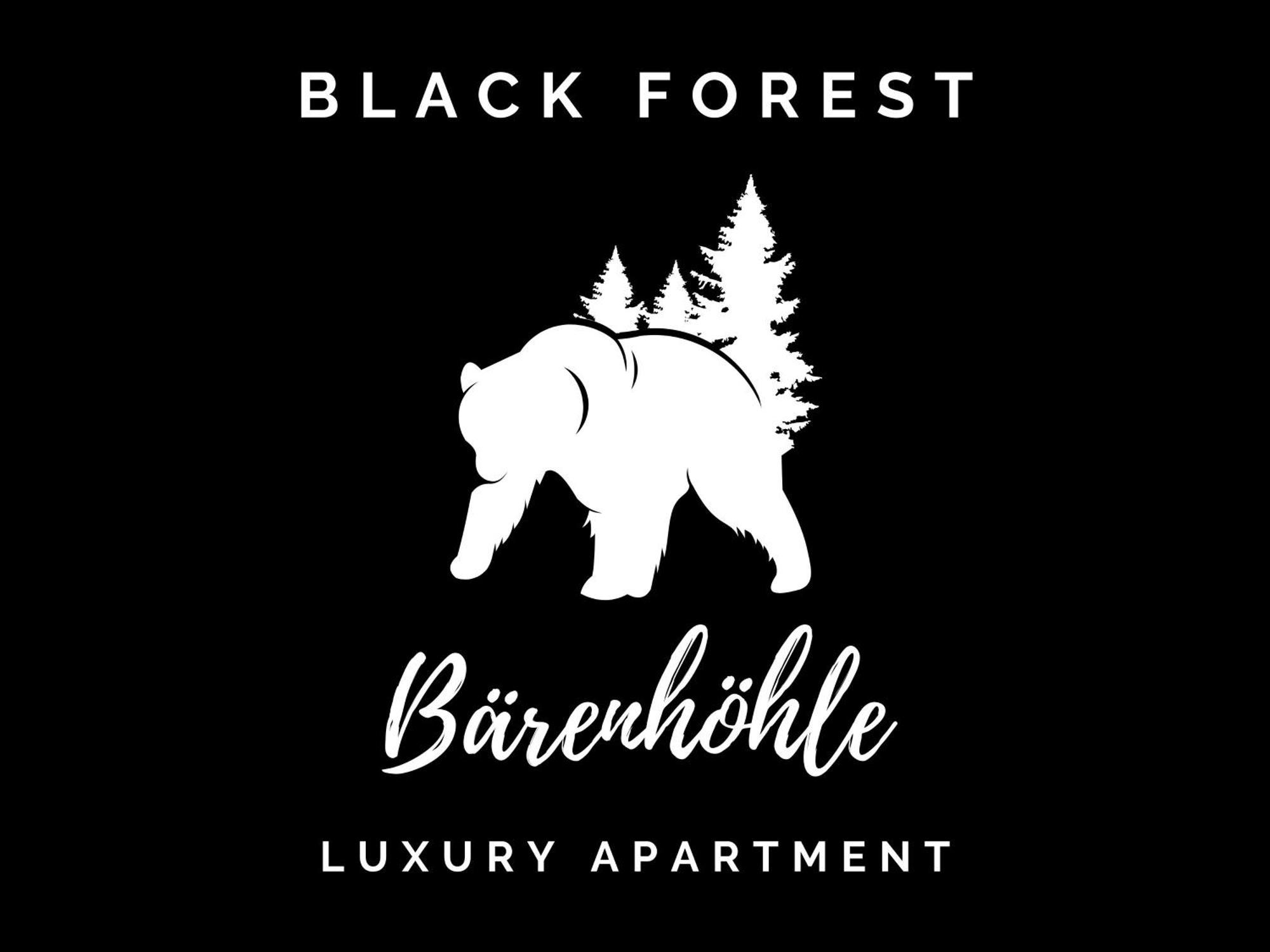 Black Forest Luxury Apartment Baerenhoehle Mit Sauna Schluchsee Dış mekan fotoğraf