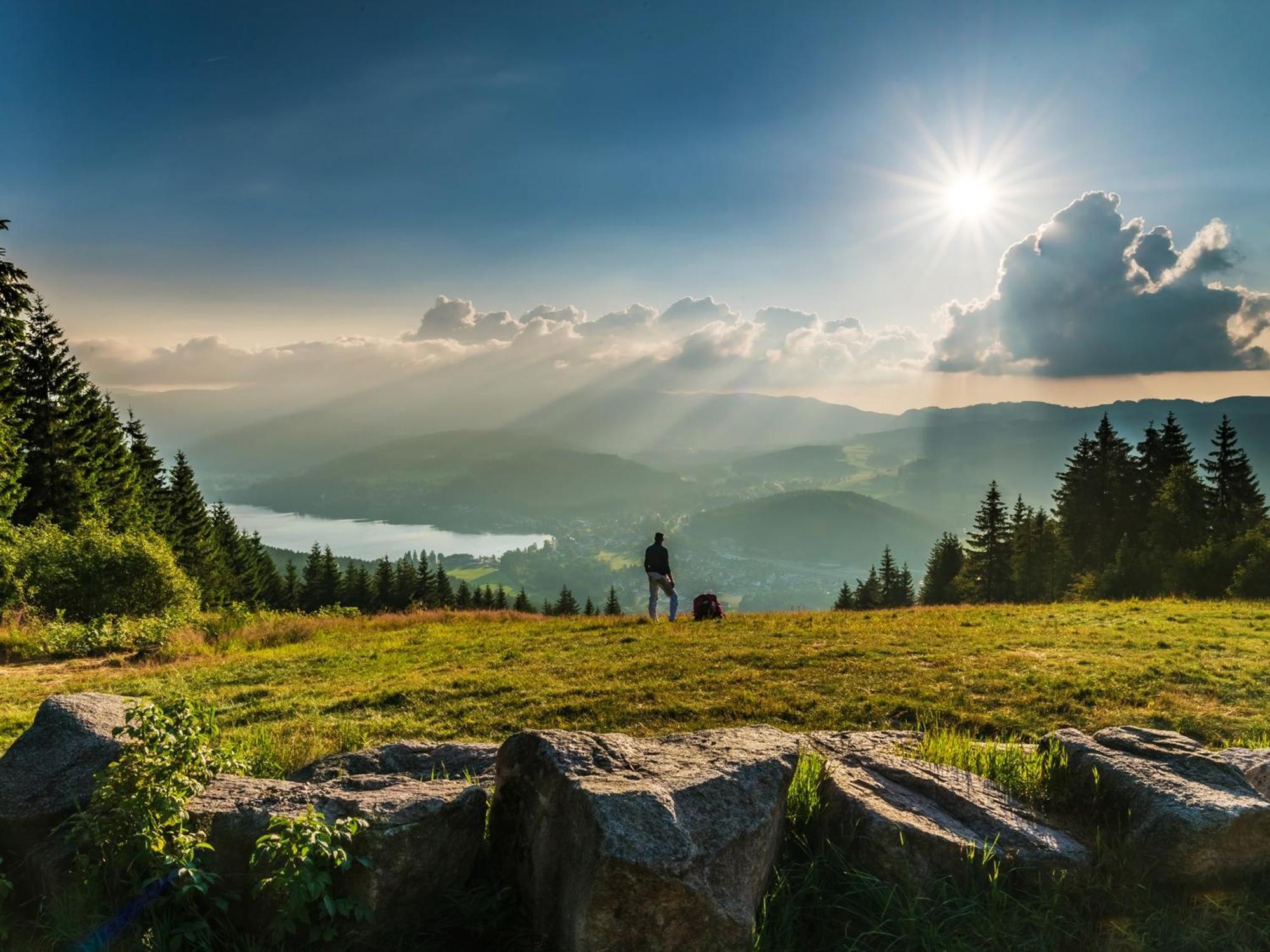 Black Forest Luxury Apartment Baerenhoehle Mit Sauna Schluchsee Dış mekan fotoğraf