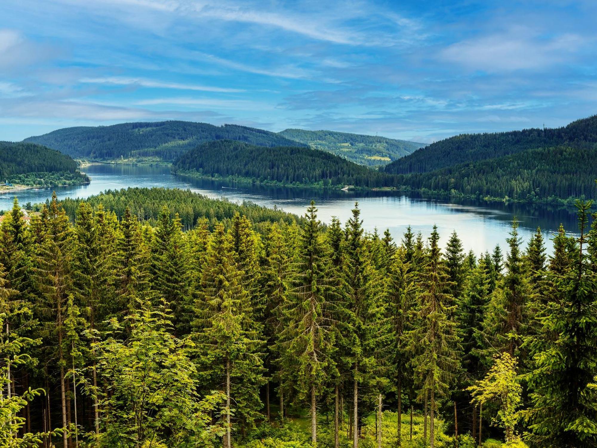 Black Forest Luxury Apartment Baerenhoehle Mit Sauna Schluchsee Dış mekan fotoğraf