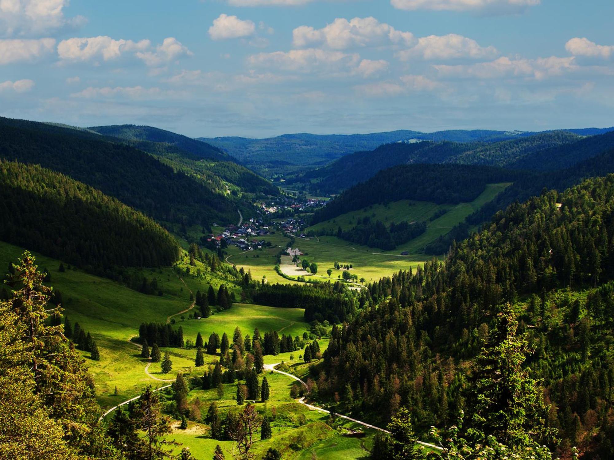Black Forest Luxury Apartment Baerenhoehle Mit Sauna Schluchsee Dış mekan fotoğraf