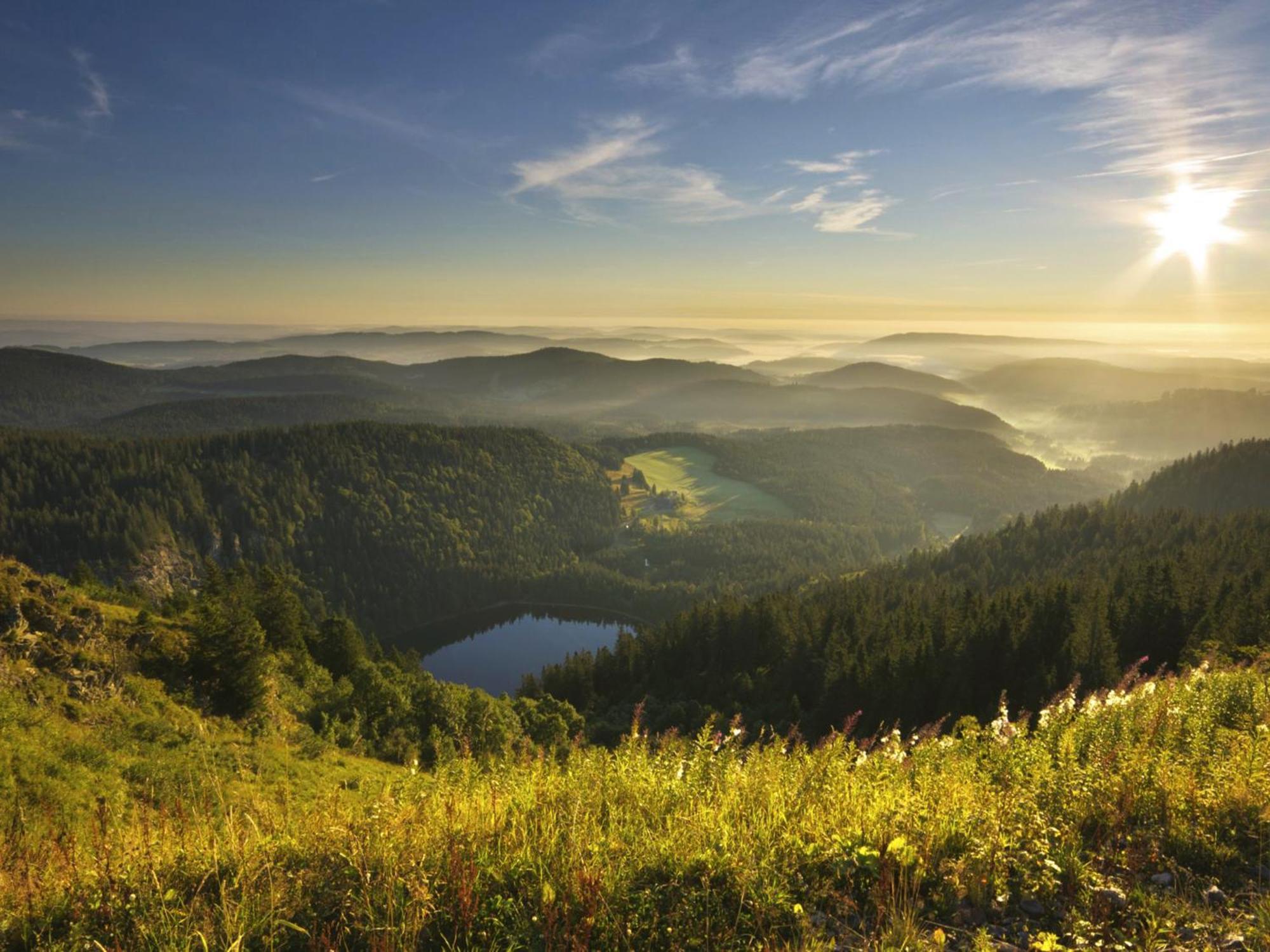 Black Forest Luxury Apartment Baerenhoehle Mit Sauna Schluchsee Dış mekan fotoğraf