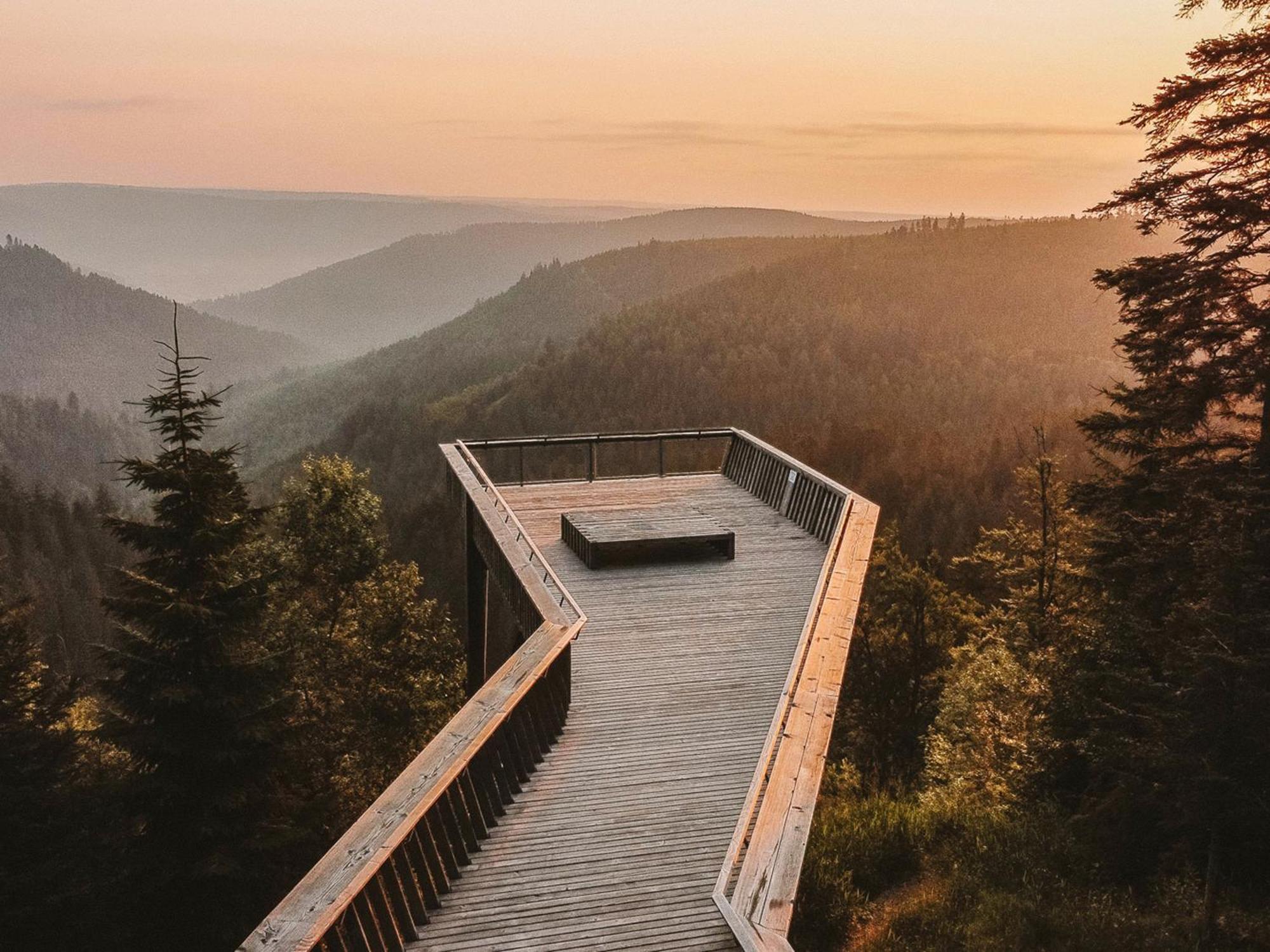 Black Forest Luxury Apartment Baerenhoehle Mit Sauna Schluchsee Dış mekan fotoğraf